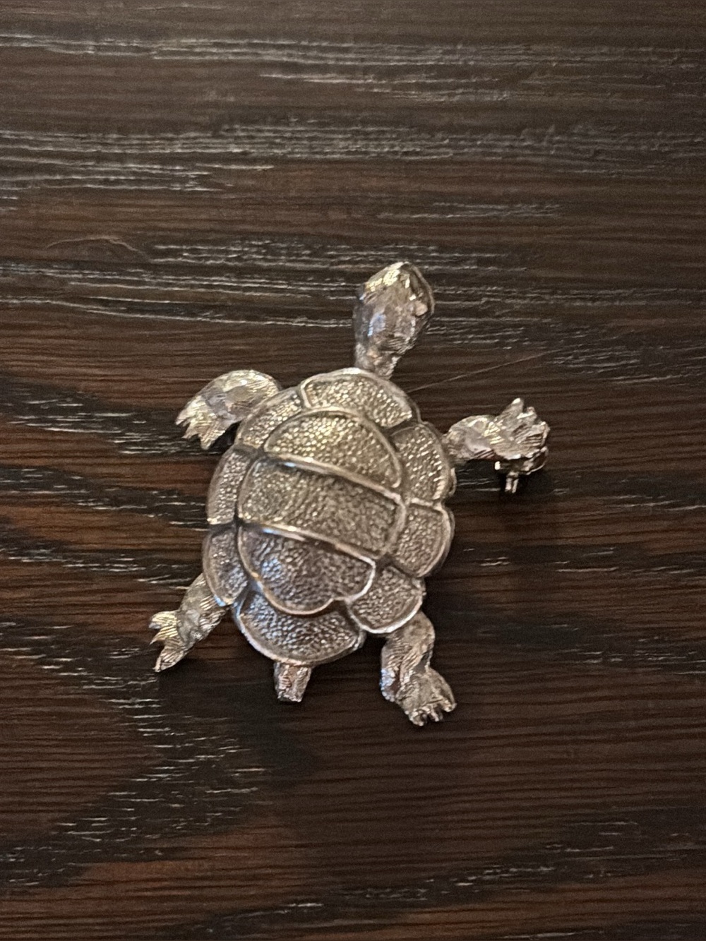 Silver Turtle Habitat Accent brooch